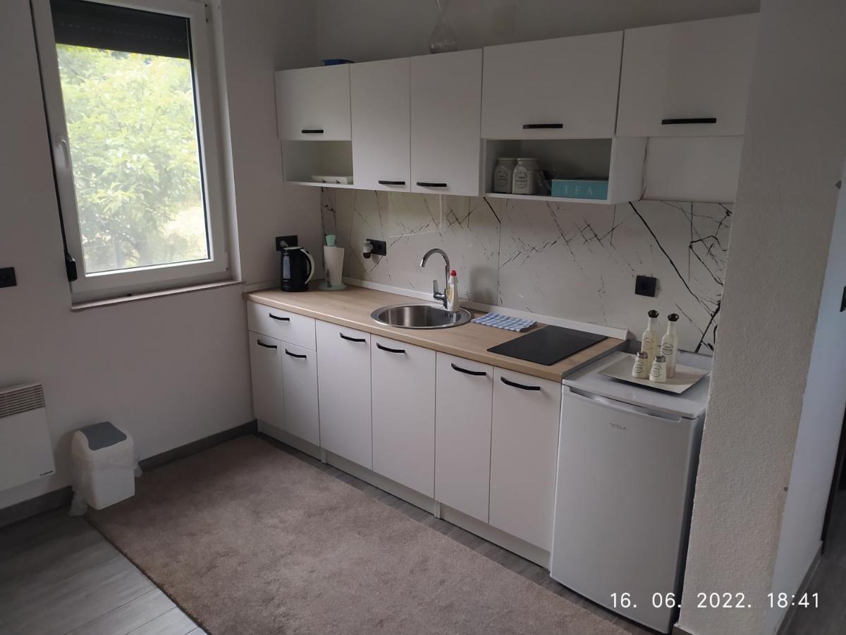 Bihać House Legacyヴィラ エクステリア 写真